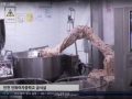 정전식 터치 패널PC JECS-J6142P156, JECS-H310P238(전면부 방수/방진 IP65) 조리 로봇 컨트롤러 장착